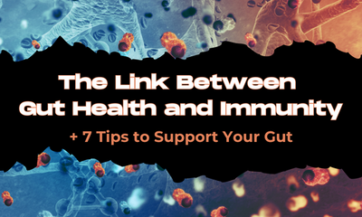 The Link Between Gut Health and Immunity | Plus 7 Tips to Support Your Gut